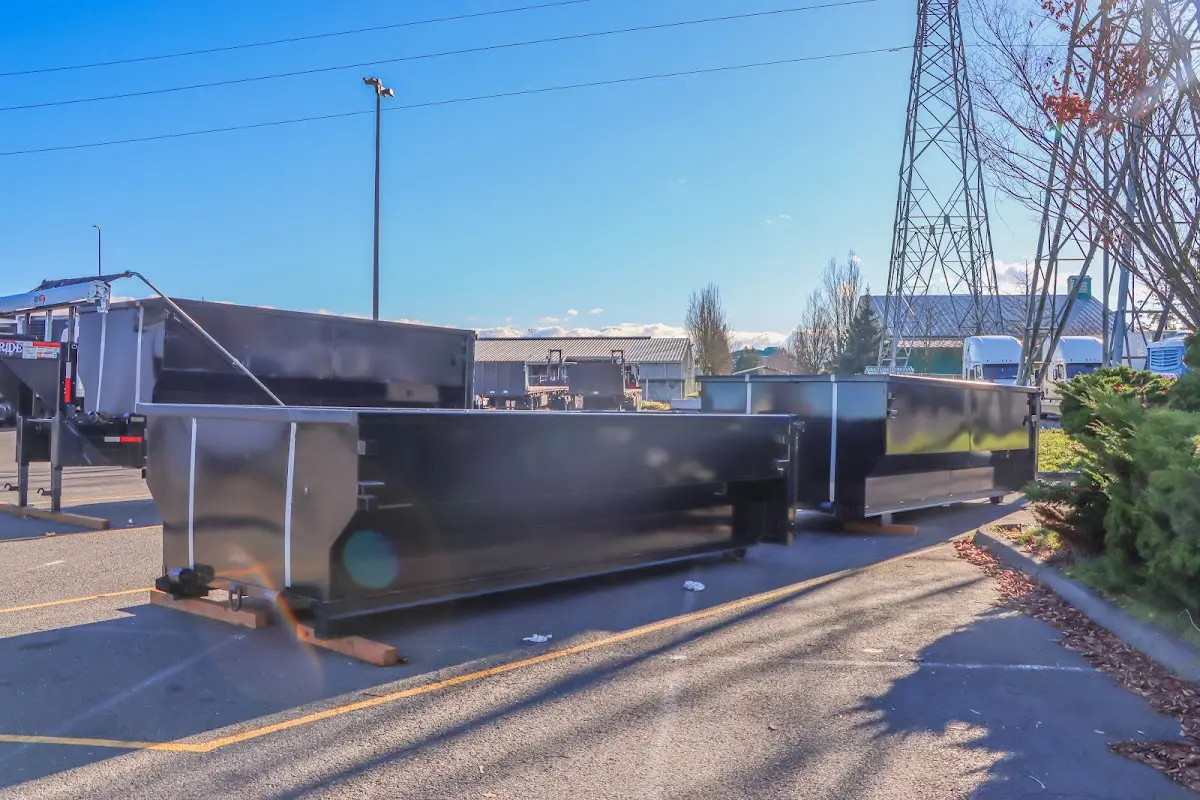 Professional dumpster rental and junk removal service in Buena Vista